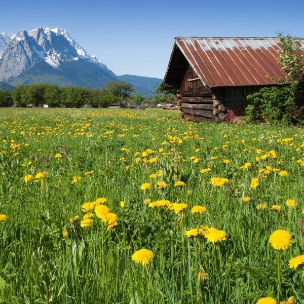Grünpflege in Bayern